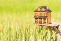 Close-up of hands holding a house model on a green meadow background.