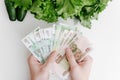 Close-up of hands holding money, counting russian banknotes lettuce leaves, cucumbers on white table indoors, top view