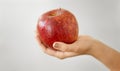 Close up of hands holding ripe red apple Royalty Free Stock Photo