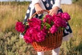 Close up of hands holding rustic basket of blossom burgundy peonies flowers. Stylish girl in fluffy skirt walking in fiel