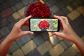 Close-up of hands holding a mobile phone and taking a horizontal photography of cherry harvest in blue metal bucket