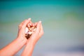 Close up of hands holding variety of beautiful seashells Royalty Free Stock Photo