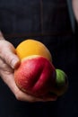 Close-up of hands offering fresh and raw fruits red kidney, peach, green pear conference. Dark background