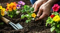 Close-up of hands planting a flower in a garden bed