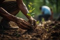 close-up of hands planting tree - AI Generated Royalty Free Stock Photo