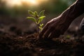 close-up of hands planting tree - AI Generated Royalty Free Stock Photo