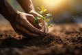 close-up of hands planting tree - AI Generated Royalty Free Stock Photo