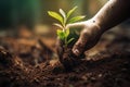 close-up of hands planting tree - AI Generated Royalty Free Stock Photo