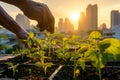 Close-up of hands planting young green seedlings in urban garden beds with a cityscape sunrise in the background.