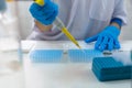 Close-up for hands of a researcher pipetting samples in micro pl Royalty Free Stock Photo