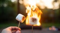Close up of hands roasting marshmallows on a stick over the comforting warmth of an evening campfire