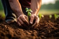 Close up of hands of senior man planting a tree in fertile soil, Farmer hands planting seeds in soil, emphasizing gardening and