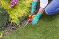 Close Up of Hands Trimming Grass with Clippers