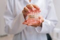 Close-up hands of unrecognizable female orthodontist doctor in white coat holding human jaws layout model with metal