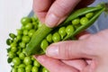 Close up of the hands of a woman shelling peas from the pod inside a glass bowl outdoors with sunlight Royalty Free Stock Photo