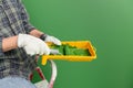Close up of hands in working gloves holding yellow paint trough with middle-sized roller with green paint in front of green wall Royalty Free Stock Photo