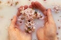 Close-up hands of a young woman in a milk bath. Pink apricot flowers in the palms. Spa skin and body care Royalty Free Stock Photo