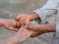 Close-up of a handshake between senior women while standing in a garden. Concept of aged people and relationship