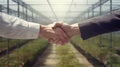 Close up of handshake between two men in against the background of a glass greenhouse with plant in row Royalty Free Stock Photo