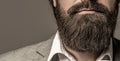 Close up of handsome beard hipster elegant male. Bearded man close up. Beard is his style. Closeup of bearded mans. Male