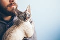 Close-up of handsome young man and tabby cat with blue eyes Royalty Free Stock Photo