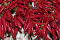 Close-up of hanging red chili peppers bunches Royalty Free Stock Photo