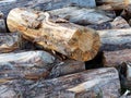 Close Up of Haphazardly Stacked Pile of Wood Royalty Free Stock Photo