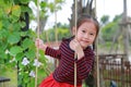 Close up happy little Asian child girl play and sitting on the swing in the nature park Royalty Free Stock Photo