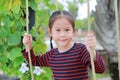 Close up happy little Asian child girl play and sitting on the swing in the nature park Royalty Free Stock Photo