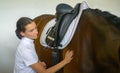 CLOSE UP: Happy young woman caresses her brown horse after fastening the saddle. Royalty Free Stock Photo