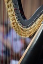 Close up of harp