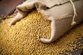 close-up of harvested soybeans in sack