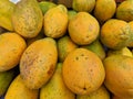 Close-up of Hawaiian papayas Royalty Free Stock Photo