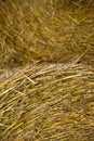 Close up of hay bale