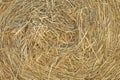 hay bale for backgrounds Royalty Free Stock Photo