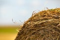 Close up of hay bale with blurry background