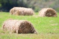 Close up of Hay bales on a green field