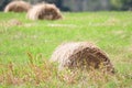 Close up of Hay bales on a green field