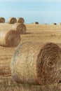 Close up of hay roll in field with additional rolls leading up the hill Royalty Free Stock Photo