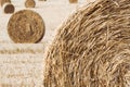 Close up of hay rolls in field Royalty Free Stock Photo