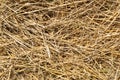 Close up hay straw stack texture, agriculture Royalty Free Stock Photo