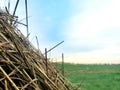 Close up of haybale in an open field