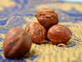 Close-up of a hazelnut. Close-up of a forest nut. A tower of three pieces of hazelnuts. Nut kernel close-up. Screensaver. Blur.