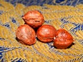 Close-up of a hazelnut. Close-up of a forest nut. A tower of three pieces of hazelnuts. Nut kernel close-up. Screensaver. Blur.