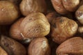 Close-up of hazelnuts from above