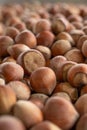 Close up hazelnuts. Hazelnut composition and backgorund. Turkish hazelnuts.