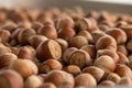 Close up hazelnuts. Hazelnut composition and backgorund.