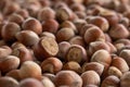 Close up hazelnuts. Hazelnut composition and backgorund.