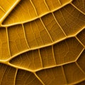 Golden Marigold Leaf: Organic Contours In Luminous 3d Grid Formation