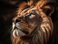 Close-up of head and face of large lion. The lion is looking straight ahead, with its eyes open wide as if it\'s staring